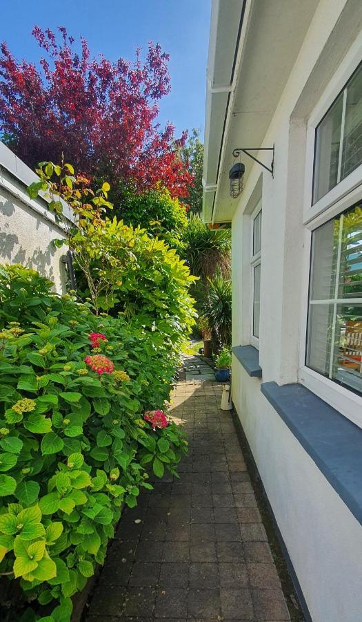 124 ,Castlelawn Heights, Headford Road Galway Homestay Exteriör bild