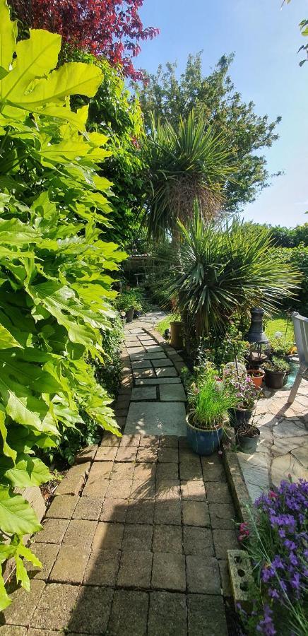 124 ,Castlelawn Heights, Headford Road Galway Homestay Exteriör bild
